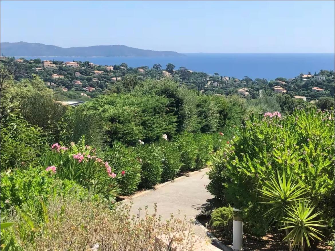 Apartament Terrasse De 30M2 Vue Mer Panoramique 1 Chambre Cavalaire-sur-Mer Zewnętrze zdjęcie